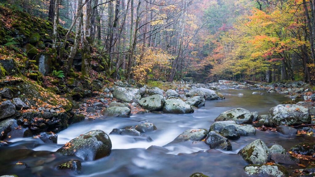 a beautiful rushing river in North Carolina during the fall, perfect for trout fishing