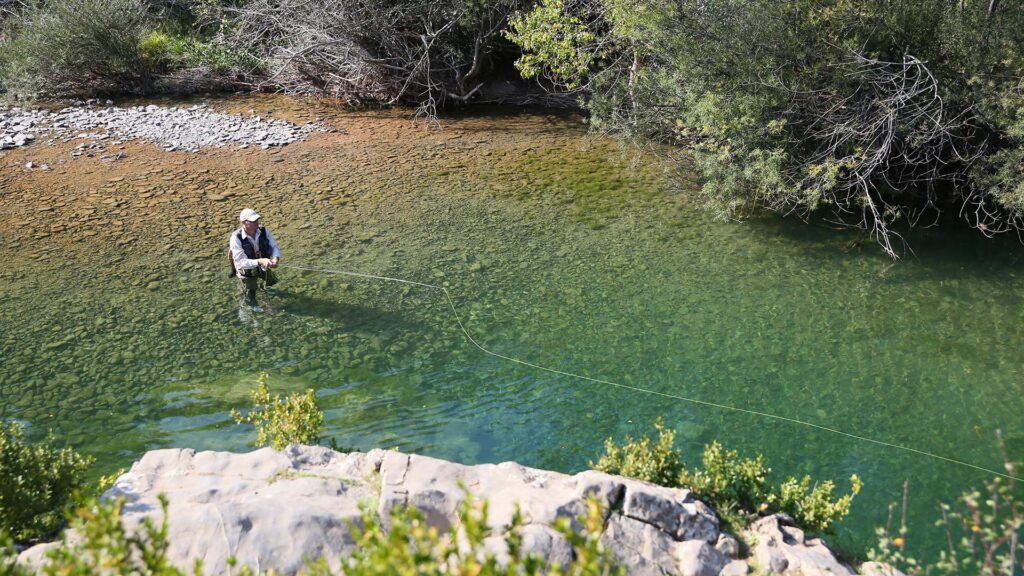 a client on a guided fishing trip with Wild Water Fly Fishing, casting in a wild stream